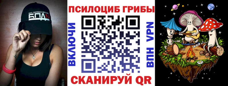 Псилоцибиновые грибы Psilocybe Хасавюрт